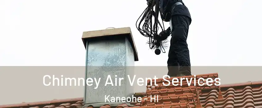  Chimney Air Vent Services Kaneohe - HI