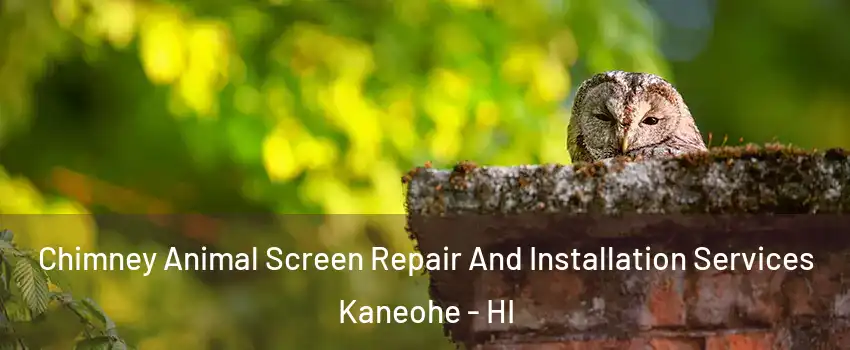  Chimney Animal Screen Repair And Installation Services Kaneohe - HI