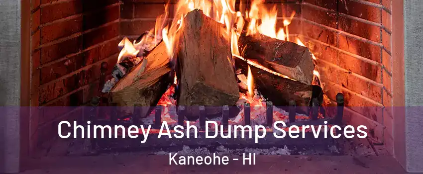  Chimney Ash Dump Services Kaneohe - HI