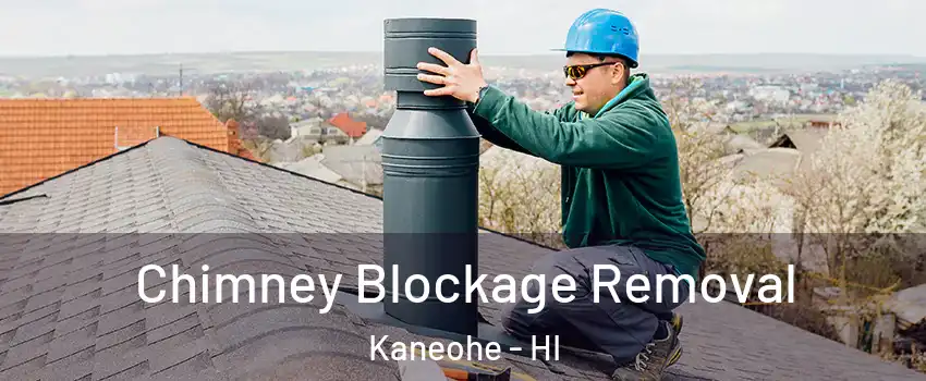  Chimney Blockage Removal Kaneohe - HI