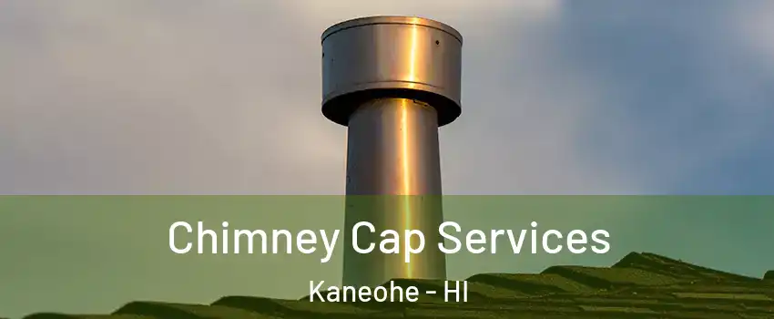  Chimney Cap Services Kaneohe - HI