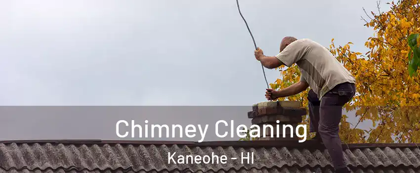  Chimney Cleaning Kaneohe - HI