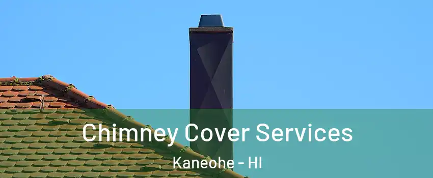  Chimney Cover Services Kaneohe - HI