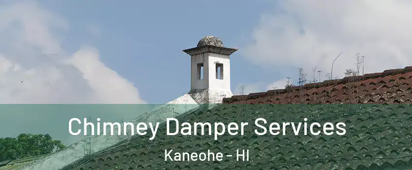  Chimney Damper Services Kaneohe - HI