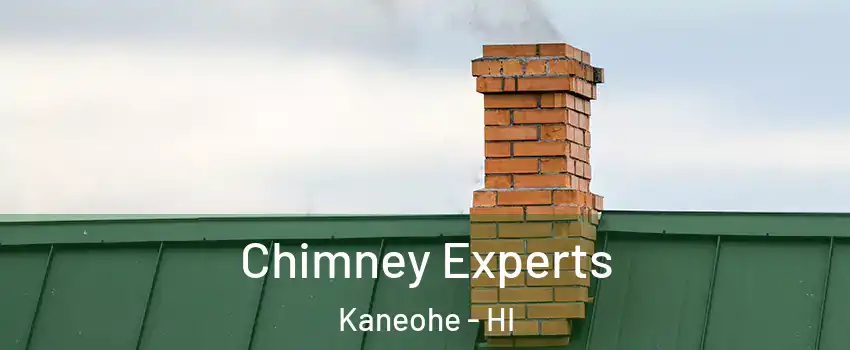Chimney Experts Kaneohe - HI