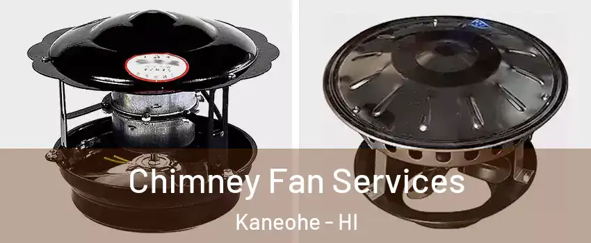  Chimney Fan Services Kaneohe - HI