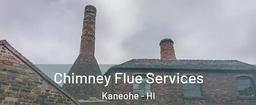  Chimney Flue Services Kaneohe - HI