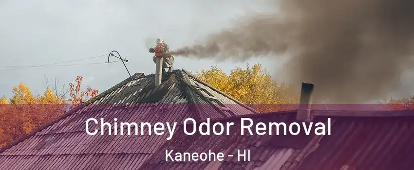  Chimney Odor Removal Kaneohe - HI