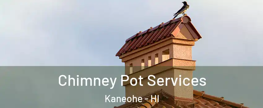  Chimney Pot Services Kaneohe - HI