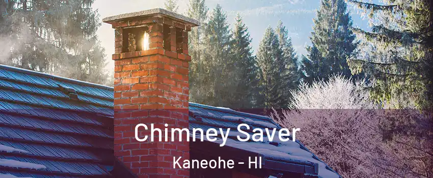  Chimney Saver Kaneohe - HI