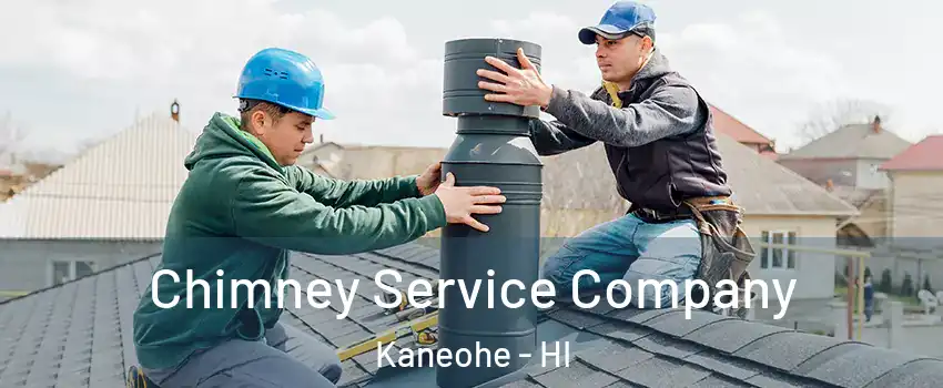  Chimney Service Company Kaneohe - HI