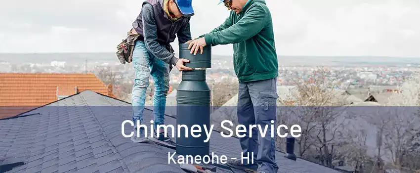  Chimney Service Kaneohe - HI