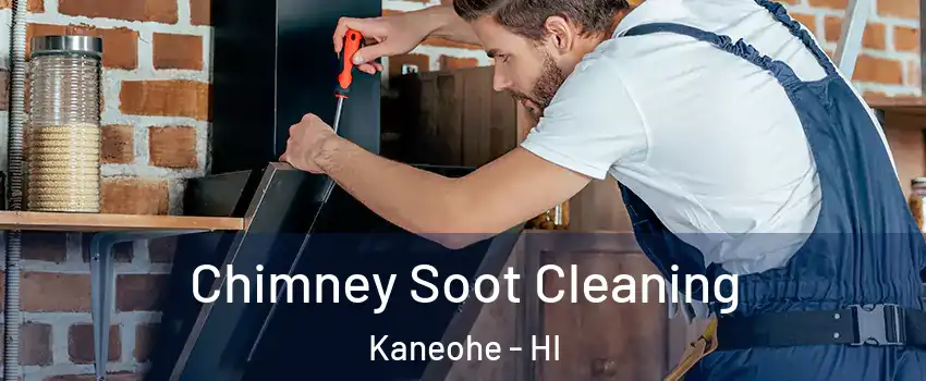  Chimney Soot Cleaning Kaneohe - HI