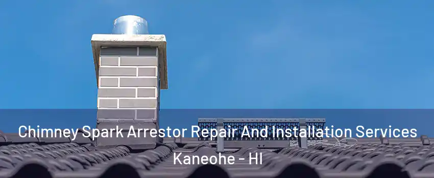  Chimney Spark Arrestor Repair And Installation Services Kaneohe - HI