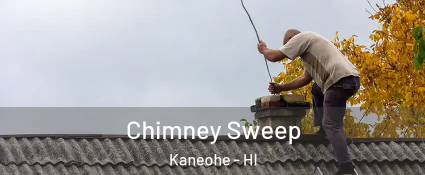  Chimney Sweep Kaneohe - HI