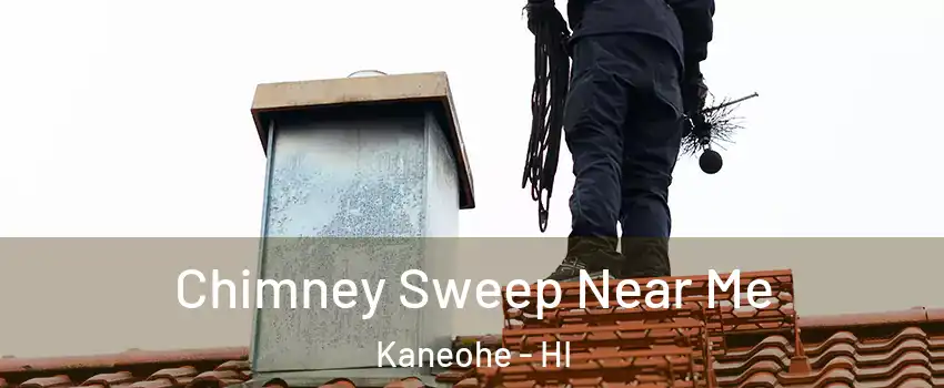  Chimney Sweep Near Me Kaneohe - HI