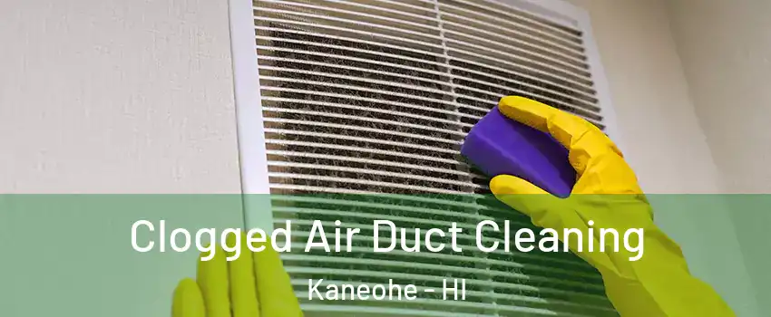  Clogged Air Duct Cleaning Kaneohe - HI