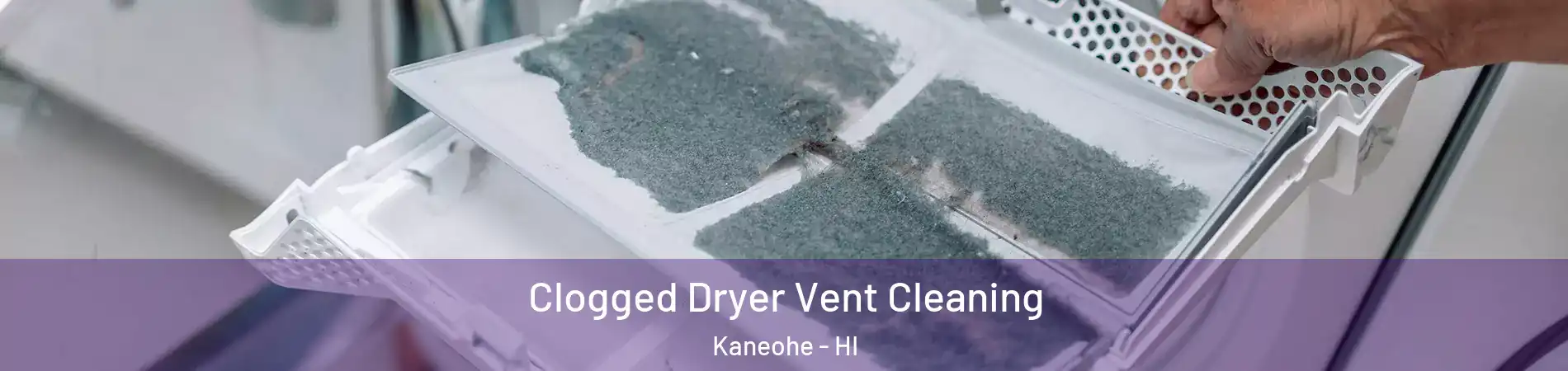  Clogged Dryer Vent Cleaning Kaneohe - HI