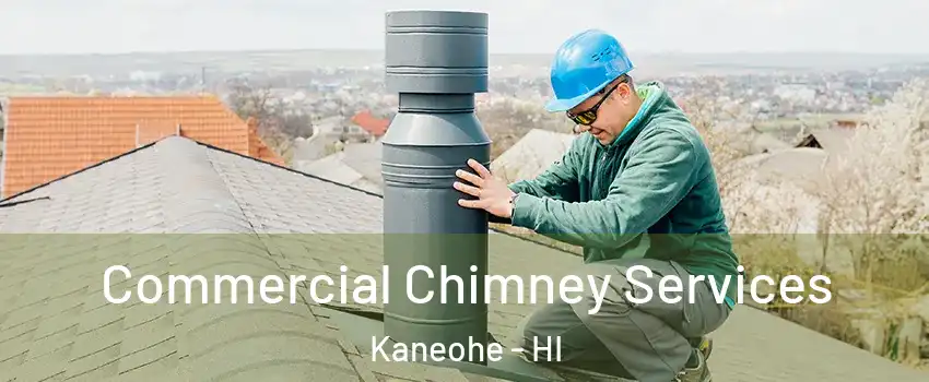  Commercial Chimney Services Kaneohe - HI