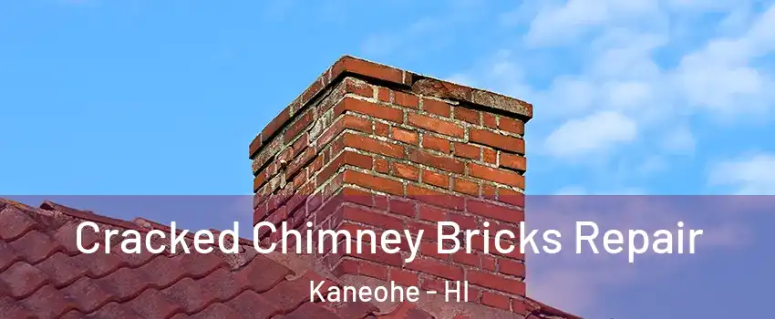  Cracked Chimney Bricks Repair Kaneohe - HI