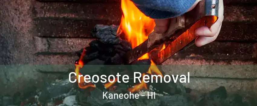 Creosote Removal Kaneohe - HI