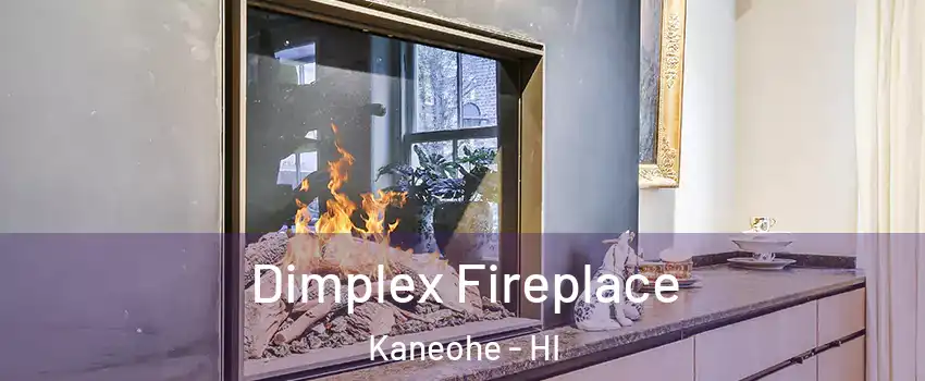  Dimplex Fireplace Kaneohe - HI
