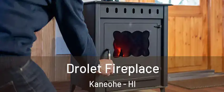  Drolet Fireplace Kaneohe - HI