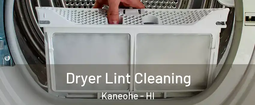  Dryer Lint Cleaning Kaneohe - HI
