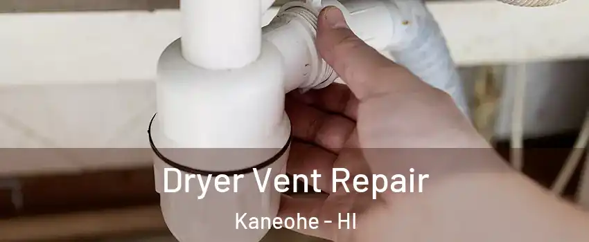  Dryer Vent Repair Kaneohe - HI