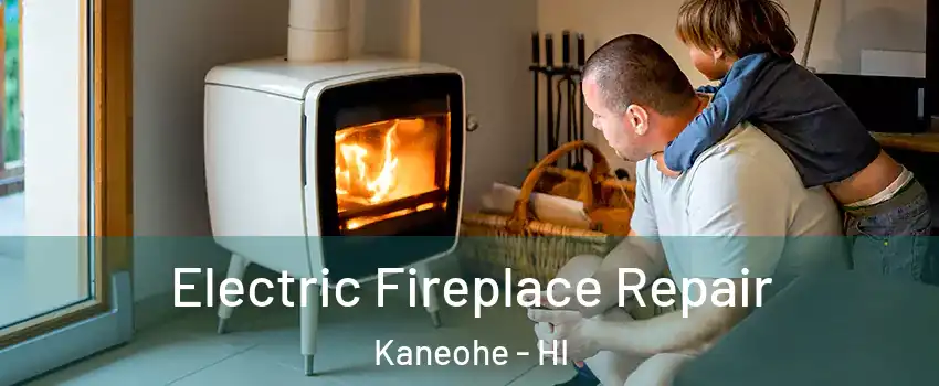  Electric Fireplace Repair Kaneohe - HI