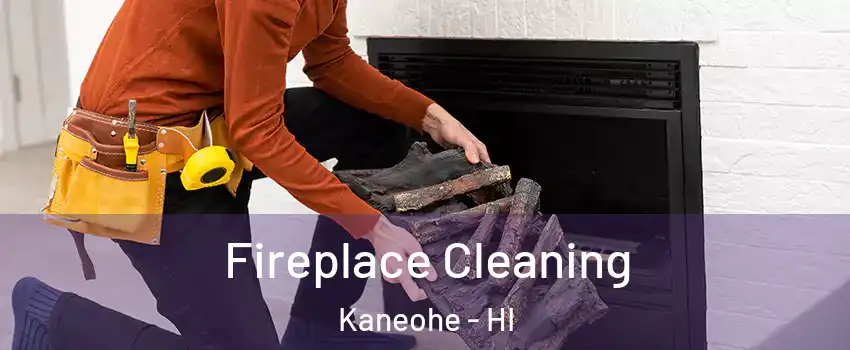  Fireplace Cleaning Kaneohe - HI