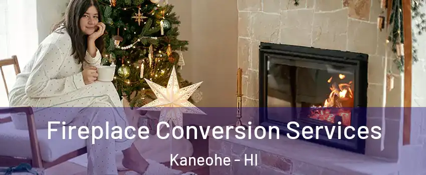  Fireplace Conversion Services Kaneohe - HI