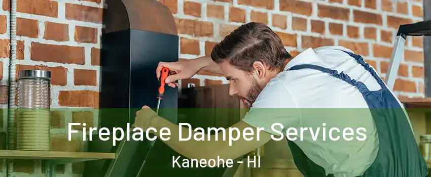  Fireplace Damper Services Kaneohe - HI