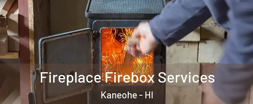  Fireplace Firebox Services Kaneohe - HI