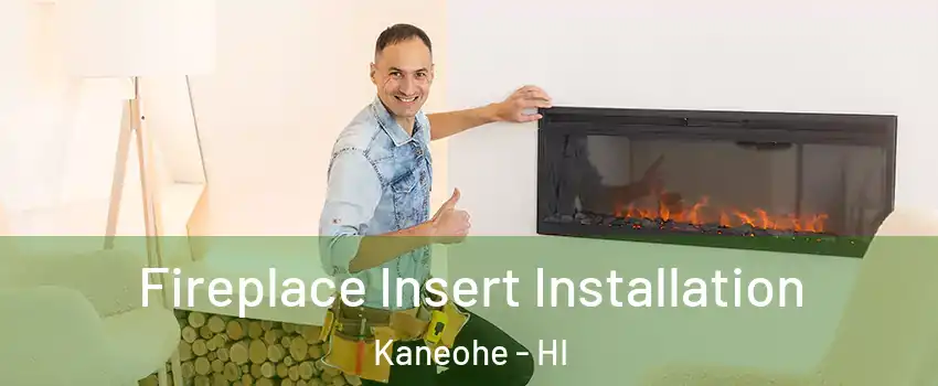  Fireplace Insert Installation Kaneohe - HI