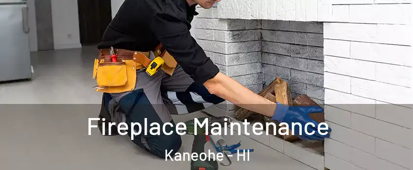  Fireplace Maintenance Kaneohe - HI