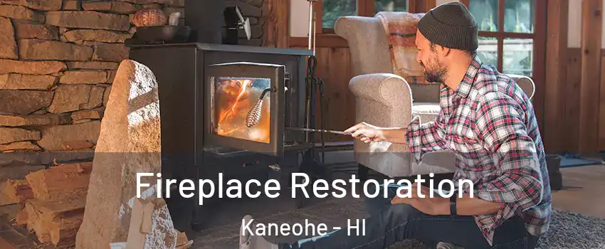  Fireplace Restoration Kaneohe - HI