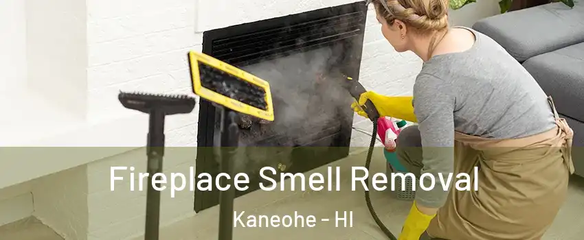  Fireplace Smell Removal Kaneohe - HI