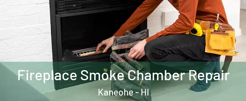  Fireplace Smoke Chamber Repair Kaneohe - HI