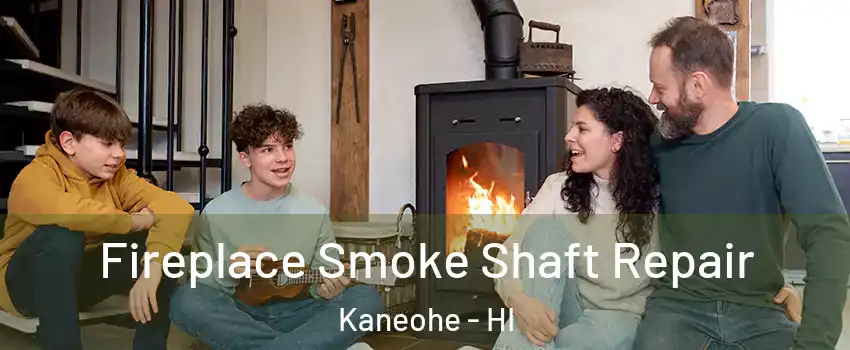  Fireplace Smoke Shaft Repair Kaneohe - HI
