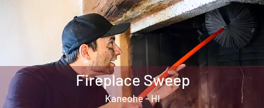  Fireplace Sweep Kaneohe - HI