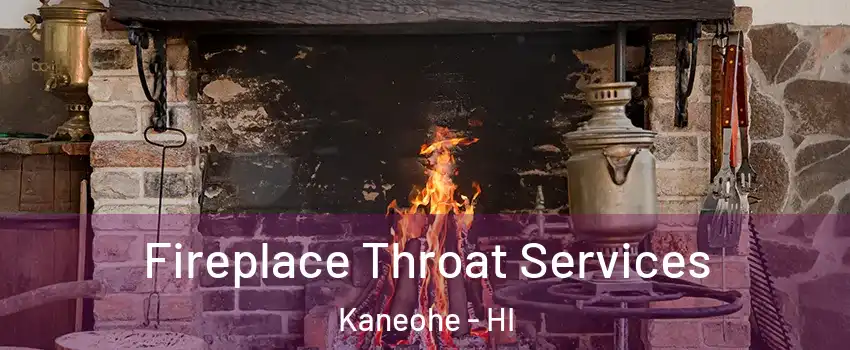  Fireplace Throat Services Kaneohe - HI