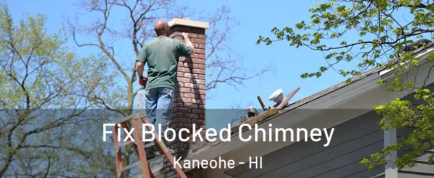  Fix Blocked Chimney Kaneohe - HI