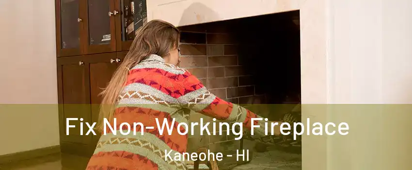  Fix Non-Working Fireplace Kaneohe - HI