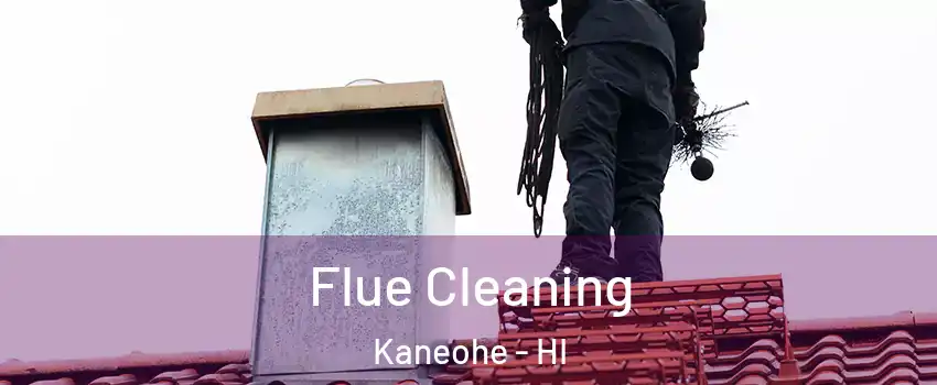  Flue Cleaning Kaneohe - HI