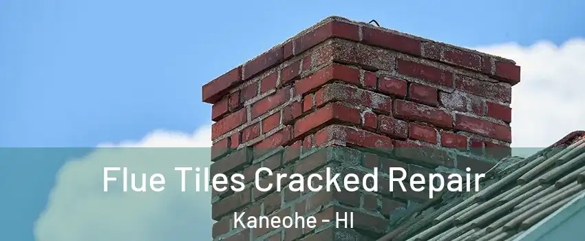 Flue Tiles Cracked Repair Kaneohe - HI