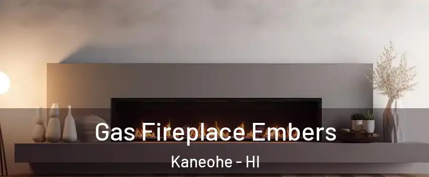  Gas Fireplace Embers Kaneohe - HI