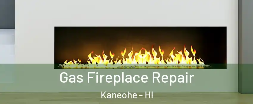  Gas Fireplace Repair Kaneohe - HI