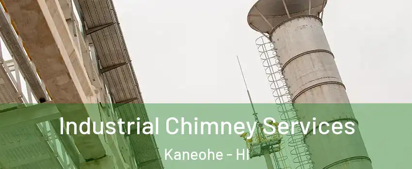  Industrial Chimney Services Kaneohe - HI