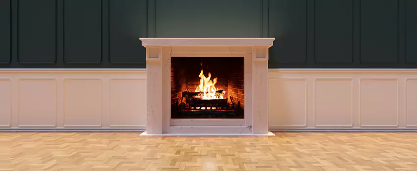 Napoleon Electric Fireplaces Inspection Service in Kaneohe, Hawaii